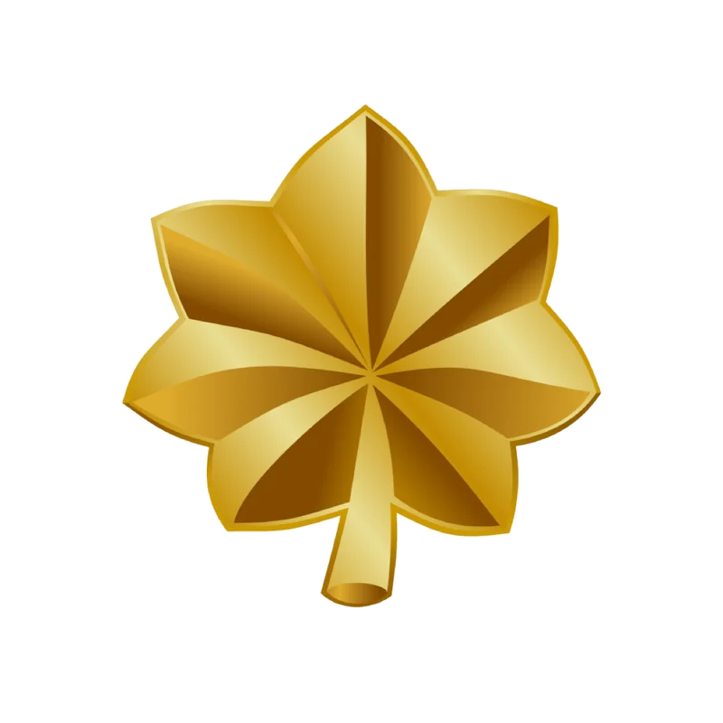 Major insignia